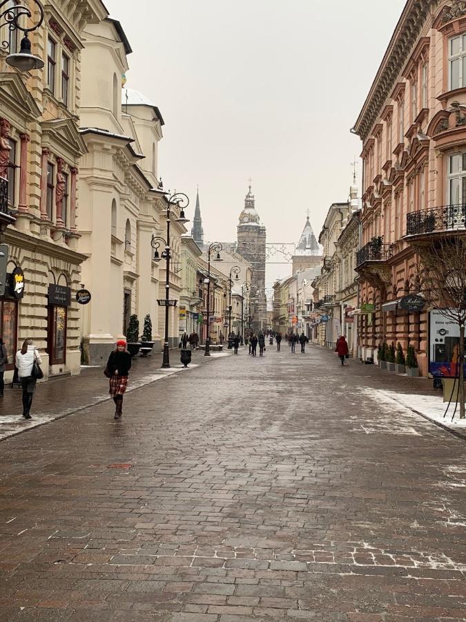 Ah Skynight Puskinova Kosice Exterior photo